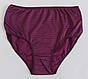 Жіночі труси «ERDO» однотонні 54/56 розміру, фото 5