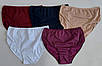 Жіночі труси «ERDO» однотонні 54/56 розміру, фото 2