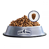 Клуб 4 лапи сухий корм з лососем для дорослих кішок 14 кг (Club 4 Paws Premium With Salmon), фото 2