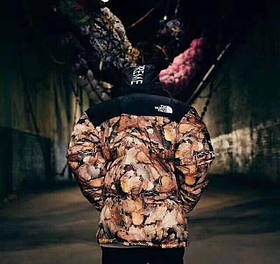 Одяг хлопчик підліток Supreme x TNF Nuptse 700. Кольорова зимова куртка на хлопчика підлітка.