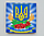 Магнит на холодильник "Україна" 6х6см, фото 3