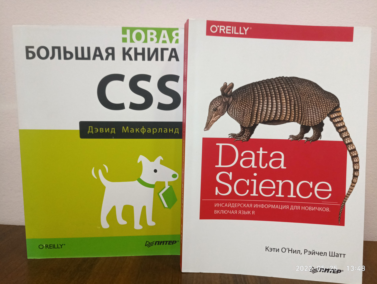 Css книга. Большая книга css. Большая книга css. Большая книга css. Новая большая книга css.