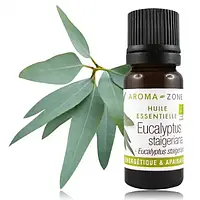 Евкаліпта стаигериана ефірне масло BIO (Eucalyptus staigeriana), 10 мл