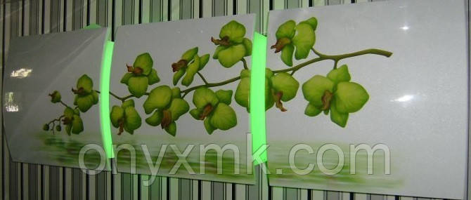 Фотопечать на МДФ фасадах орхидеи - фото 1 - id-p264476684