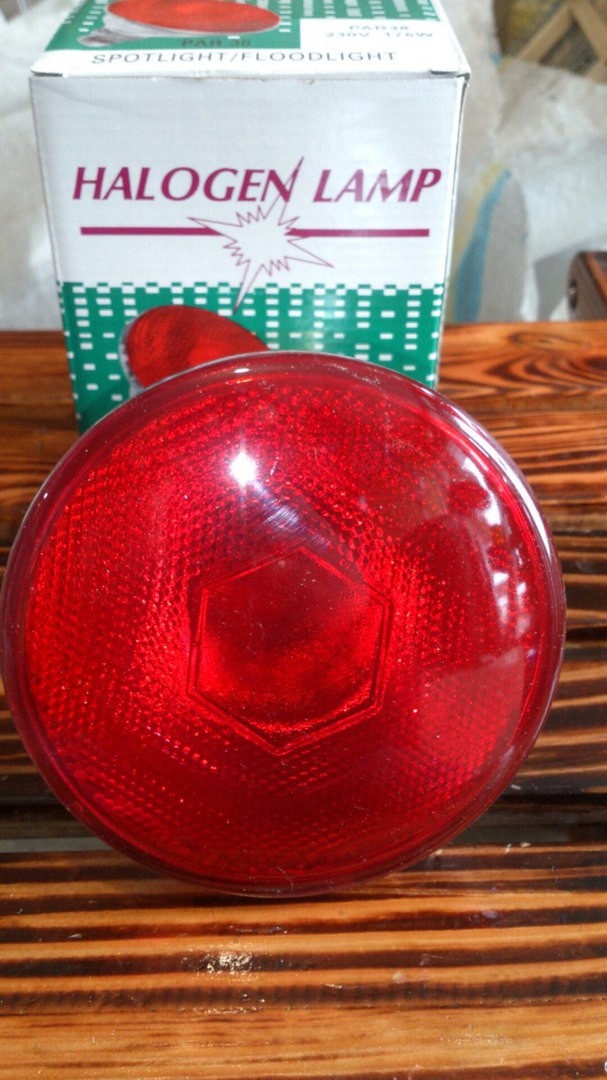 Лампа інфрачервона (пресованоое скло) 175Вт