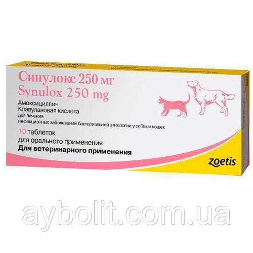 Антибиотик Zoetis Синулокс для лечения инфекционных заболеваний у кошек и собак, 250 мг, фото 1