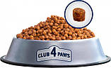 Сухой корм для котят Club 4 Paws (Клуб 4 Лапы) Премиум со вкусом курицы 5 кг, фото 5