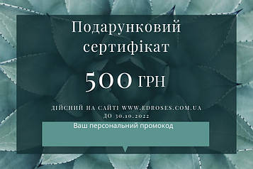 Подарунковий Сертифікат 500 у фірмовому конверті.