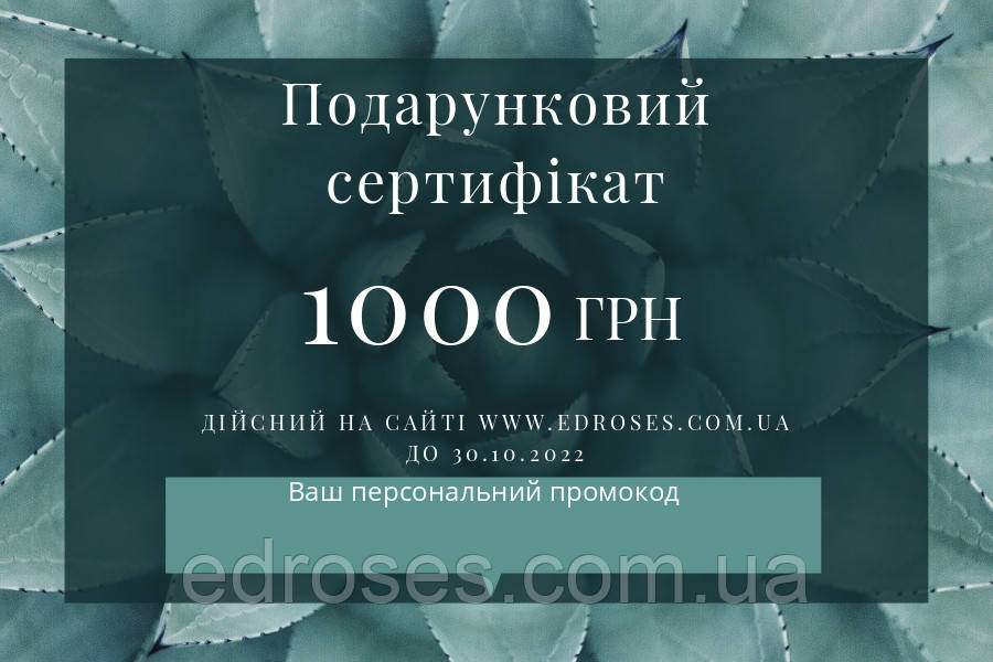 Подарунковий Сертифікат 1000 у фірмовому конверті.