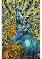 Жар-птицы Канва с нанесенным рисунком Світ можливостей 30.703СМД