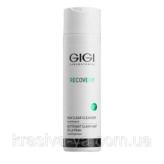 Очищающий гель - Recovery Clean Cleanser, 250 мл - фото 2 - id-p968927245