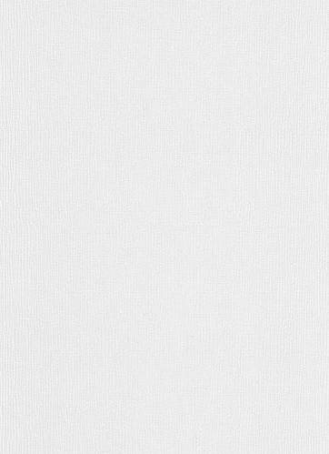Купить Обои Erismann Rollover 3922-01, цена 950 ₴ — Prom.ua (ID#1631079182)