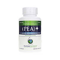 Enzyme Science PEA + Meriva Curcumin / ПЕА Пальмітоілетаноламід + куркумін Meriva 60 капсул BX170, фото 3