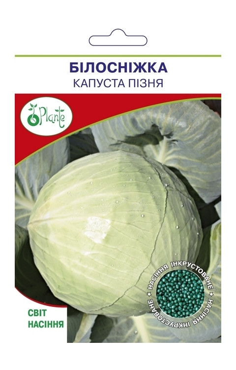 Насіння Капусту пізній Білосніжка