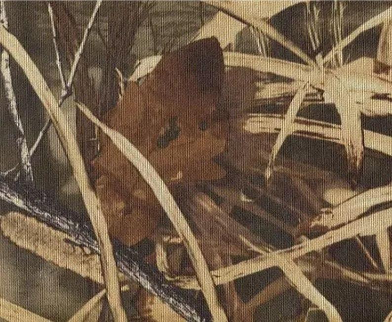 Тканина для сумок оксфорд 600Д ПВХ камуфляж очерет "HUNTER"