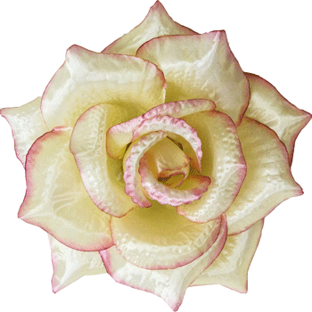 Троянда штучна |Д=15 см, В=8 см| Колір - кремово-рожева | Упаковка-50 шт