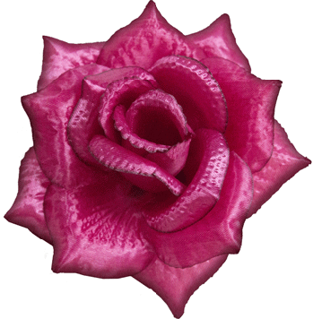 Троянда штучна |Д=15 см, В=8 см| Колір - малиновий | Упаковка-50 шт
