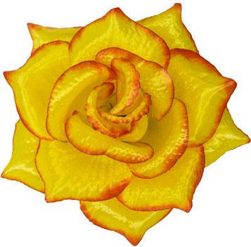Троянда штучна |Д=15 см, В=8 см| Колір - жовто-помаранчева | Упаковка-50 шт