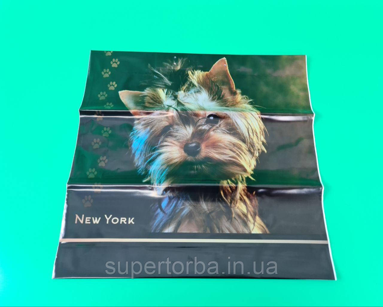 Пакети із пластиковою ручкою "Йорк" без ручки (10 шт), фото 1