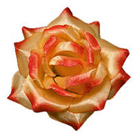 Головка пионовной розы искусственная |Д=11 см, В=5 см| Цвет красно-золотая | Упаковка-50 шт