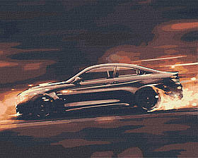 Картина по номерам. "Шалена швидкість" 40*50 см KHO 2521