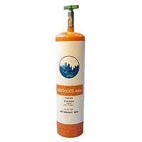 Фреон R600A з краном Bestcool (0.42kg)