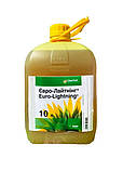 Гербіцид Євро-Лайтнінг 10 л, фото 2
