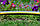 Шланг садовий Tecnotubi Retin Professional для поливу діаметр 3/4 дюйма, довжина 15 м (RT 3/4 15), фото 5