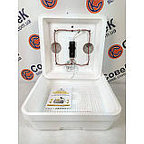 Інкубатор Веселе сімейство, 1Т (ручній переворот, тен, термометр), фото 2