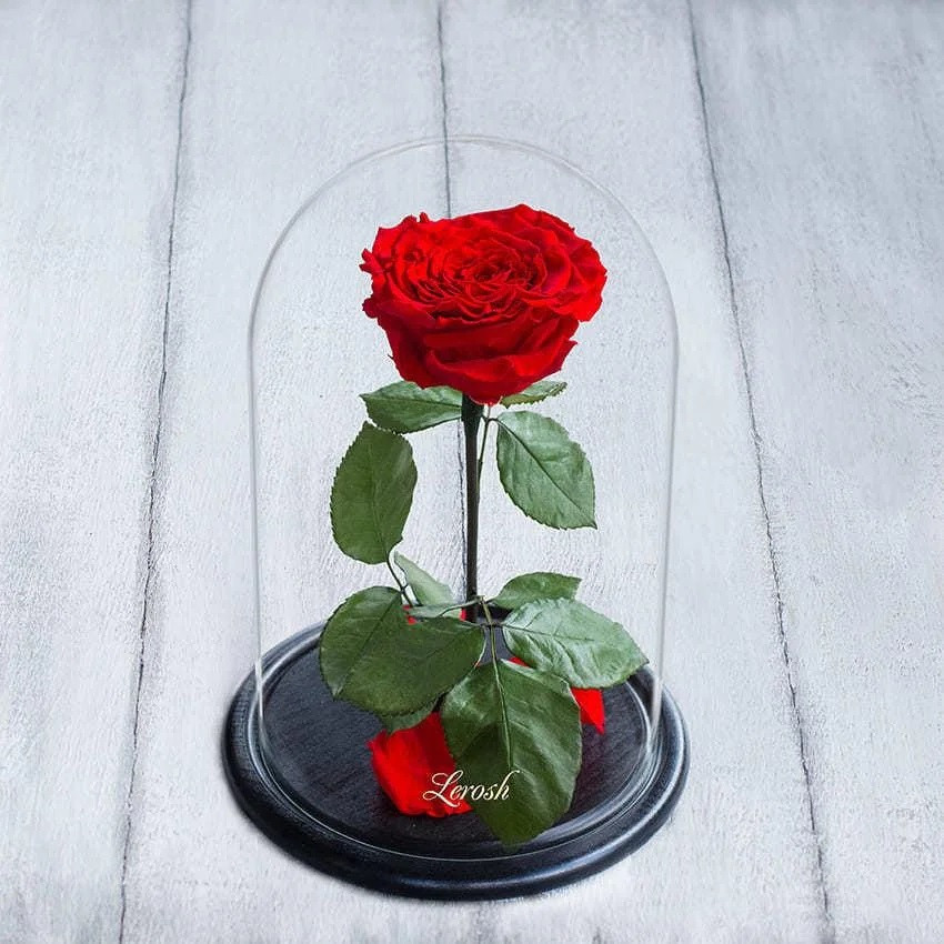 Троянда в колбі | Вічна Червона троянда Дропшипинг