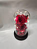 Троянди в колбі з декоративним підсвічуванням Вічна троянда Червона Дропшипинг, фото 2