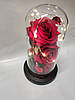Троянди в колбі з декоративним підсвічуванням Вічна троянда Червона Дропшипинг, фото 7