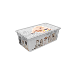 Коробка QUTU LIGHT BOX с/к CATS AND DOGS 5л.  (LIGHT BOX с/к CATS AND DOGS 5л.)