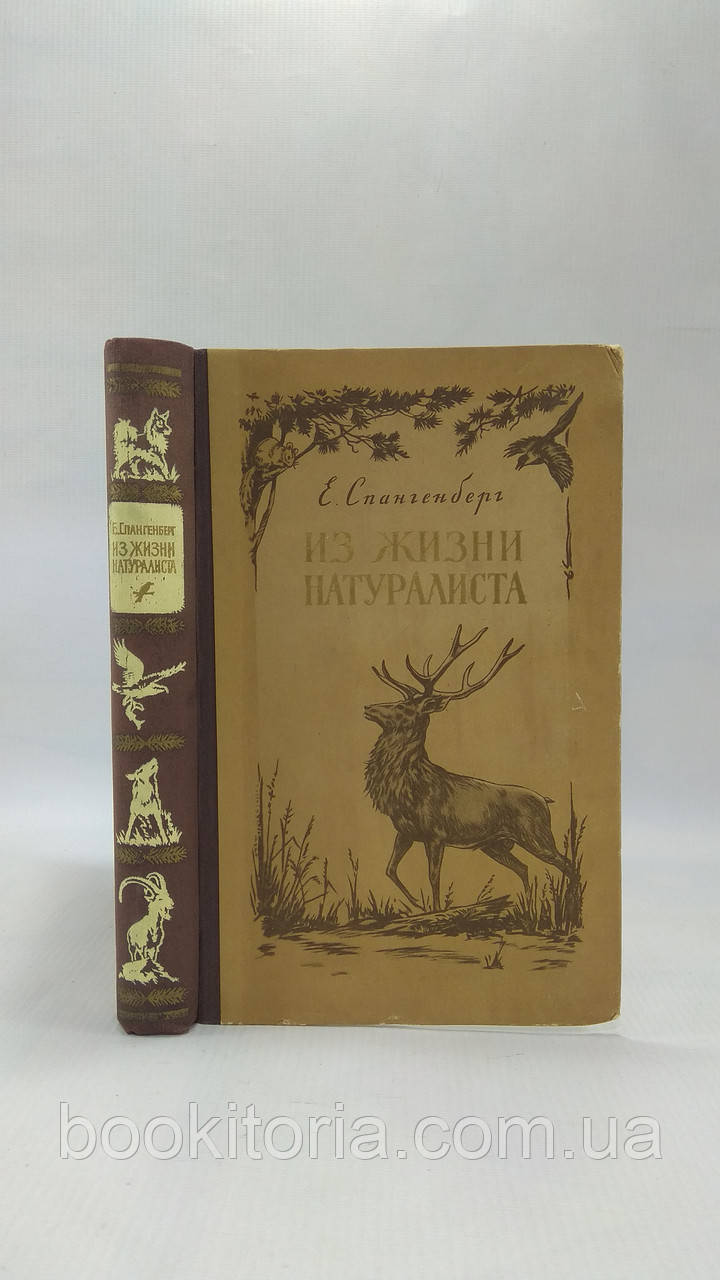 Спангенберг Е. З життя натураліста (б/у).