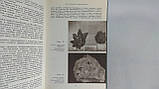 Соболівський В. Чудові мінерали (б/у)., фото 4