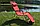 Шезлонг лежак розкладний Bonro (Бонро) 180 см червоний (2 шт) (70000214), фото 4