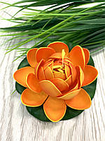 Штучний лотос (глечик для басейнів діаметр 10 см), фото 5