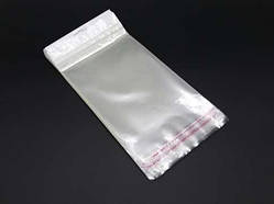 Поліпропіленові пакети з європідвісом пакувальні 19х14см +клапан. 25мкр. 100шт/уп. / Поліпропіленові пакети з європідвісом