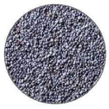 Мак голубой, 100 гр - Выгодная Цена Купить в Киеве, Мак голубой, 100 гр ...