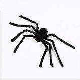Величезний павук RESTEQ іграшка. Великий чорний тарантул 75 см, фото 6