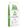 Brit Care (Брит Кеа) Grain-free Adult Large Breed Salmon з лососем для дорослих собак великих 1кг, фото 4