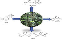 Гілий або Гудучі (Tinospora cordifolia (Willd.) у експерименті на рибах звернув назад спричинений білком SARS-CoV-2 набряків і запальну клітинну інфільтрацію, продемонстрував відновлення ниркового пошкодження, усунення лихоманки та 100% виживлюваність