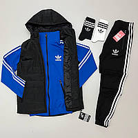 Комплект мужской Adidas Спортивный костюм + Жилетка + Носки в подарок весенний осенний Адидас синий