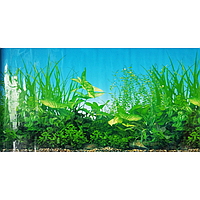 Фон з висотою 30см №9051