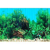 Фон з висотою 30см №9031