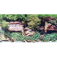 Фон щільний з висотою 30 см, DB13