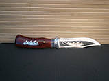 Ніж мисливський Н-793 Тигр 25см, фото 5