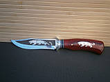 Ніж мисливський Н-793 Тигр 25см, фото 6