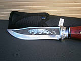 Ніж мисливський Н-793 Тигр 25см, фото 7