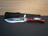 Ніж мисливський Н-793 Тигр 25см, фото 8